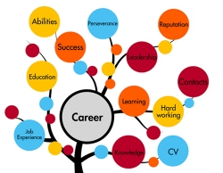 Career Counseling