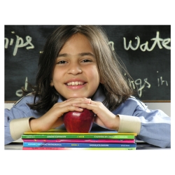 Curriculum and Syllabus | AGS