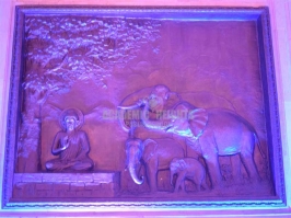 Excursions and Tours