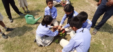 Plantation on Earth Day