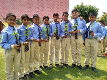 Plantation on Earth Day